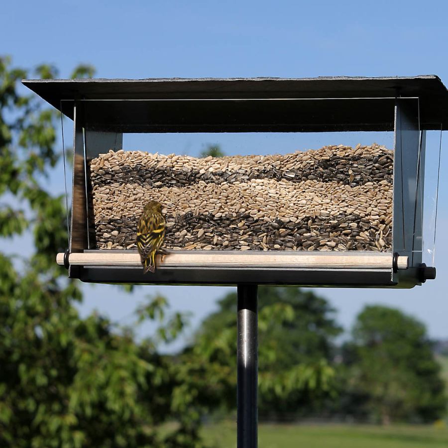 Transparentes Vogelhaus aus Edelstahl, Acrylglas, Schiefer und Holz (rechteckig)