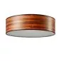 Mobile Preview: Ceiling light, Tineo version