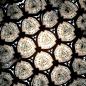 Preview: Tele XS – Handgefertigtes Kaleidoskop aus Messing mit Fischaugenlinse