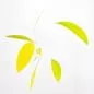 Mobile Preview: Zartes blattförmiges Mobile "Little Green Leaf", handgefertigt (50 x 50 cm)