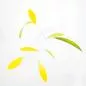 Mobile Preview: Zartes blattförmiges Mobile "Little Green Leaf", handgefertigt (50 x 50 cm)