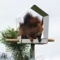 Mobile Preview: Minimalistisches Vogelhäuschen mit spitzem Dach