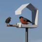 Preview: Minimalistisches Vogelhäuschen mit spitzem Dach