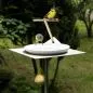 Mobile Preview: Design-Vogeltränke aus Edelstahl oder Corten-Stahl mit Porzellanschale