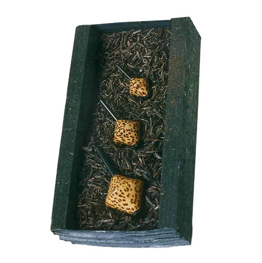 Gift Box: Three Palmwood Spinning Tops "Jungle Dancers"