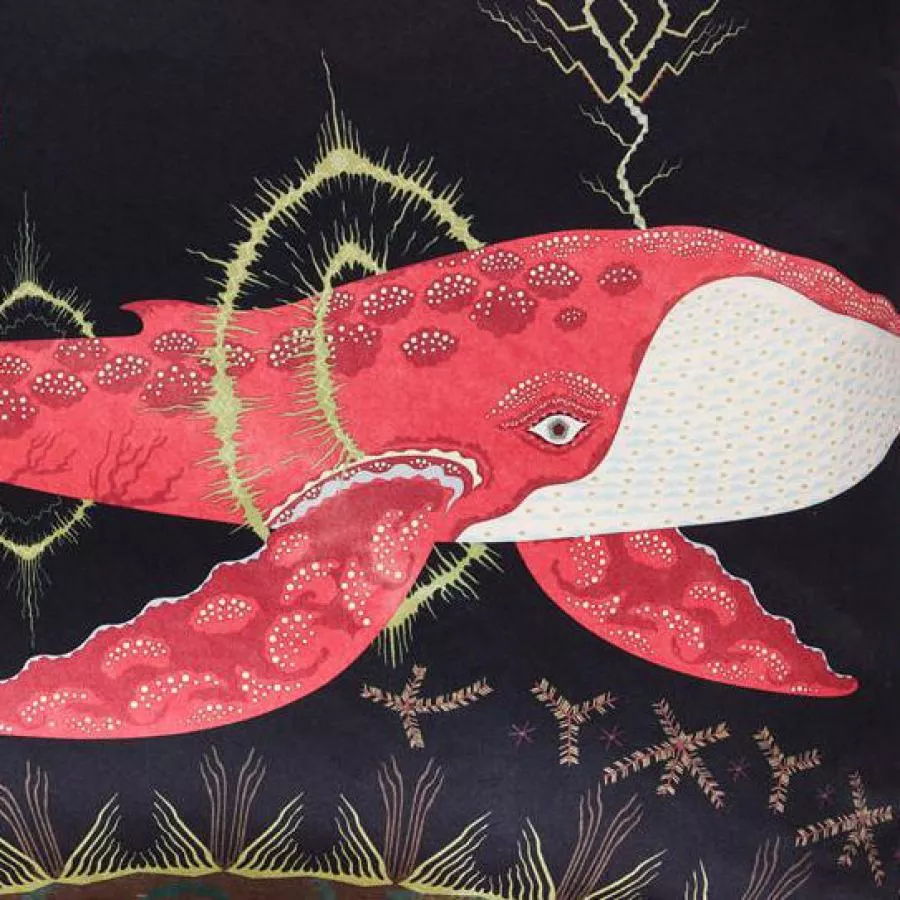 Kissenbezug „Cosmic Whale" (Rot) mit Seidendruck