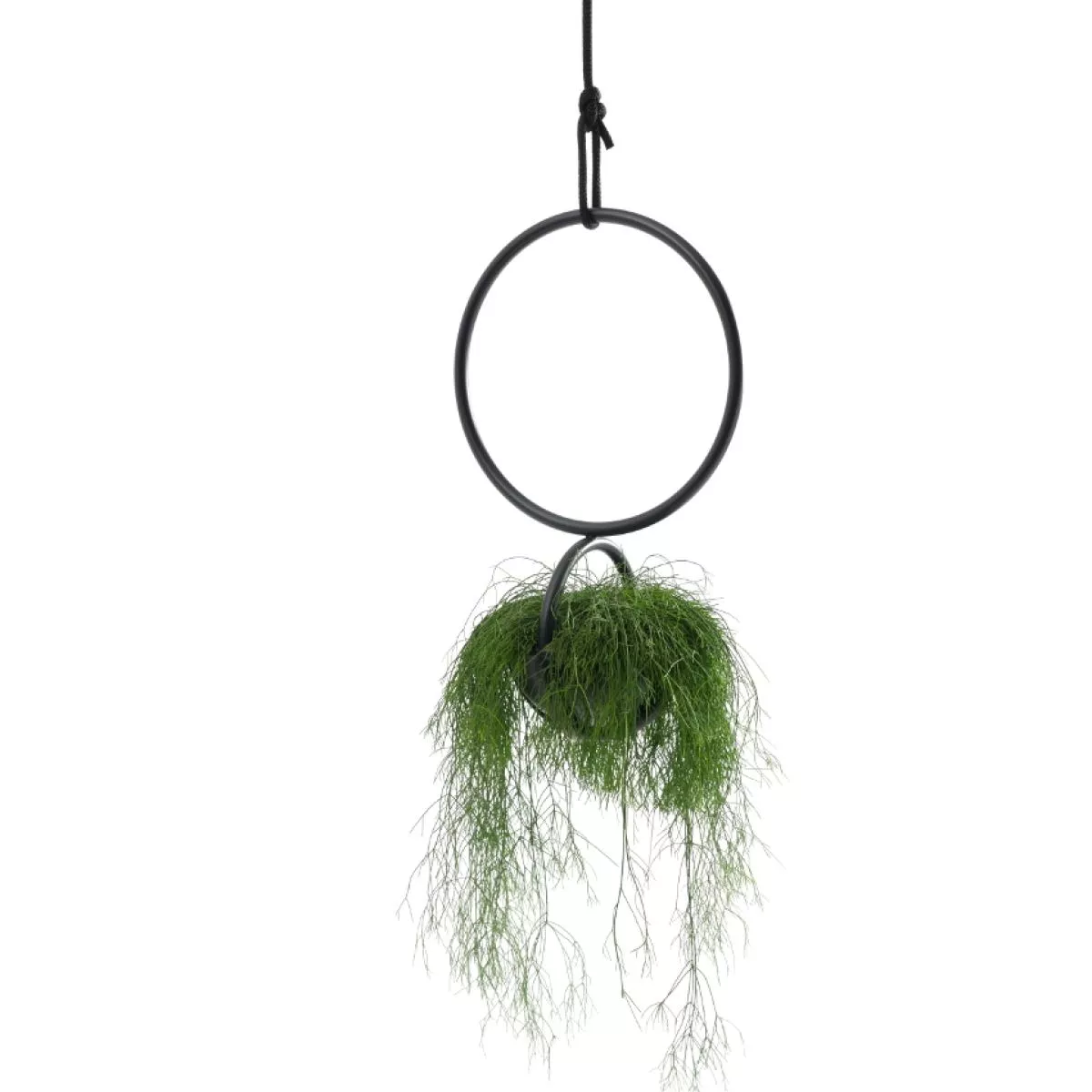 Round hanging planter (pot) with ship rope