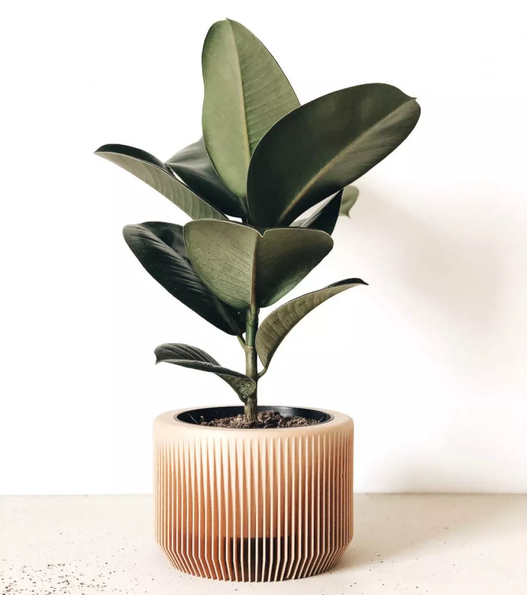Nachhaltiger Design-Blumentopf mit filigranem Dekor Ø 14 cm
