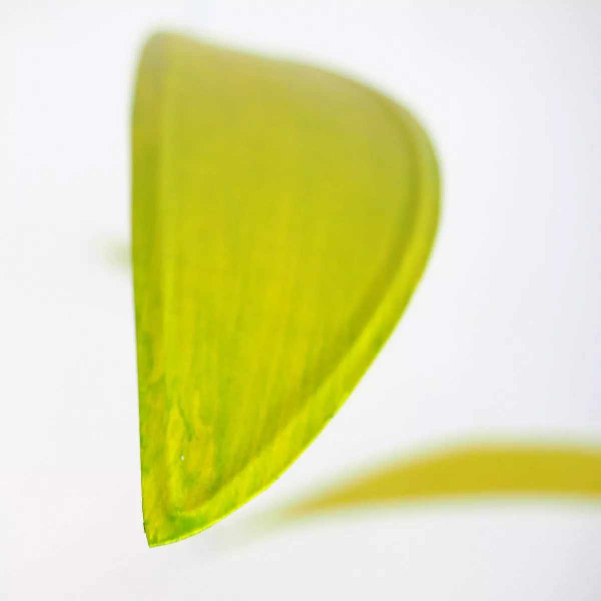 Handpainted Art Mobile "Swipp" – Yellow / Green (60 x 60 cm)