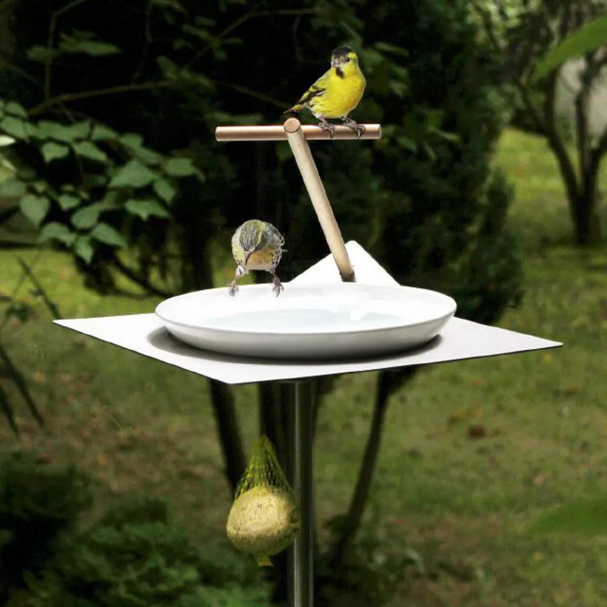 Design-Vogeltränke aus Edelstahl oder Corten-Stahl mit Porzellanschale
