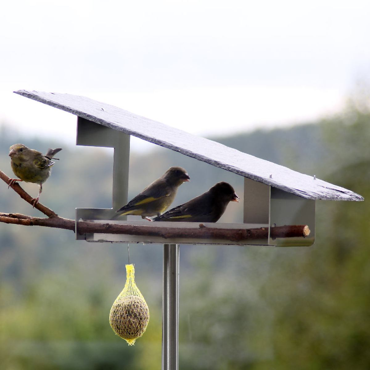 Designer-Vogelhaus mit Schrägdach aus natürlichem Schiefer (Klein)
