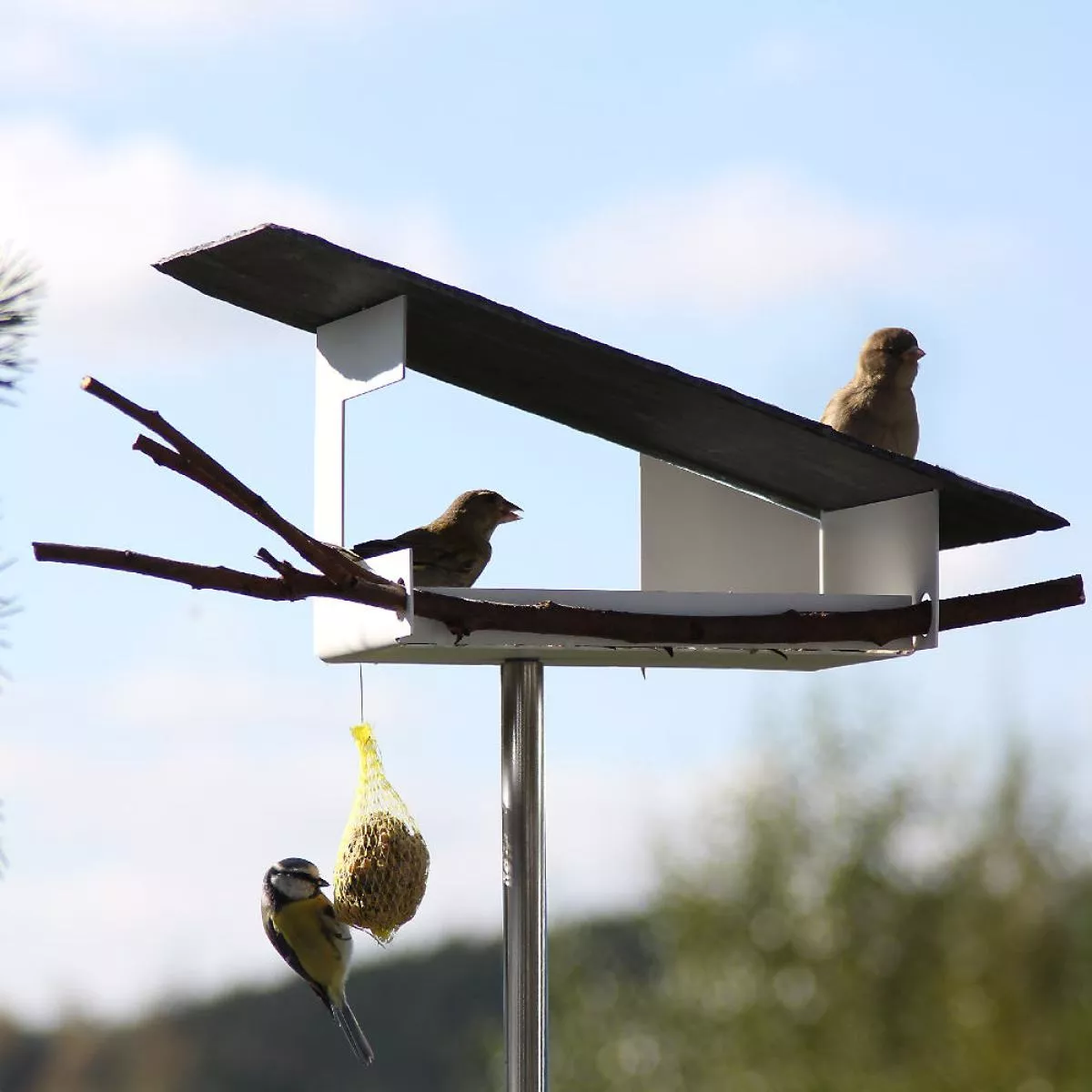 Designer-Vogelhaus mit Schrägdach aus natürlichem Schiefer (Klein)